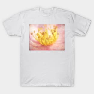 Aura of Light T-Shirt